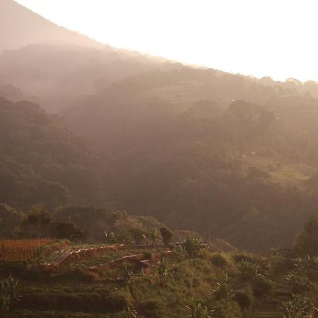 Pondok Kebun Gunung Бедугул Экстерьер фото